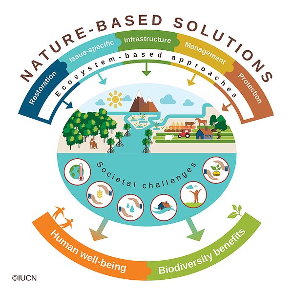 Nature Based Solutions